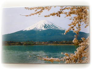 Mt. Fuji in spring